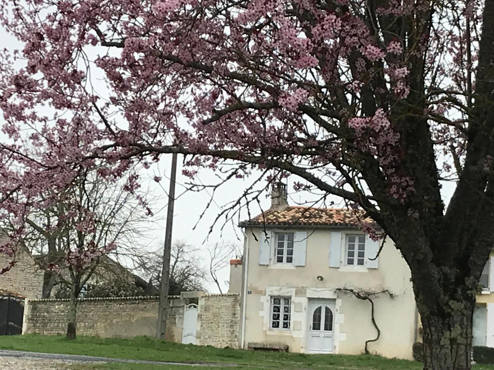La Maison De Josephine Montignac-Charente Экстерьер фото